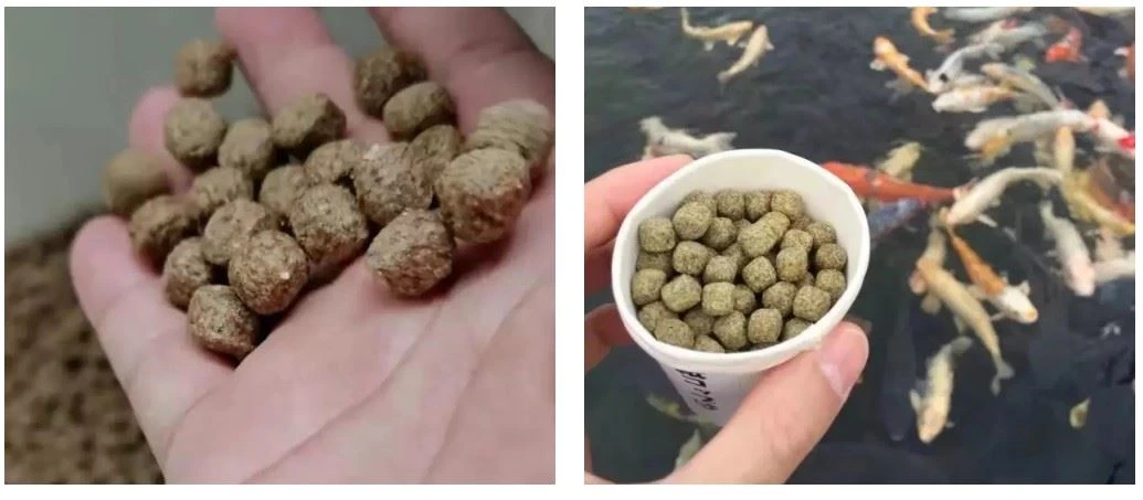 43 (3) 43 (3)