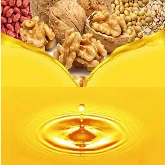 Cooking Oil Refinery Plant