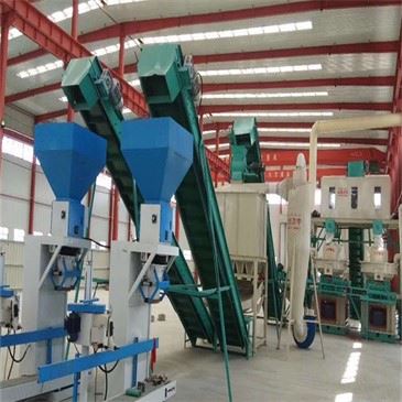 MI-07-Auto Feed Packing Machine