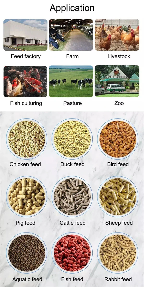 Poultry Feed Complete Equipment Poultry Feed Complete Equipment