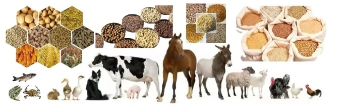 animal feed pelltes animal feed pelltes